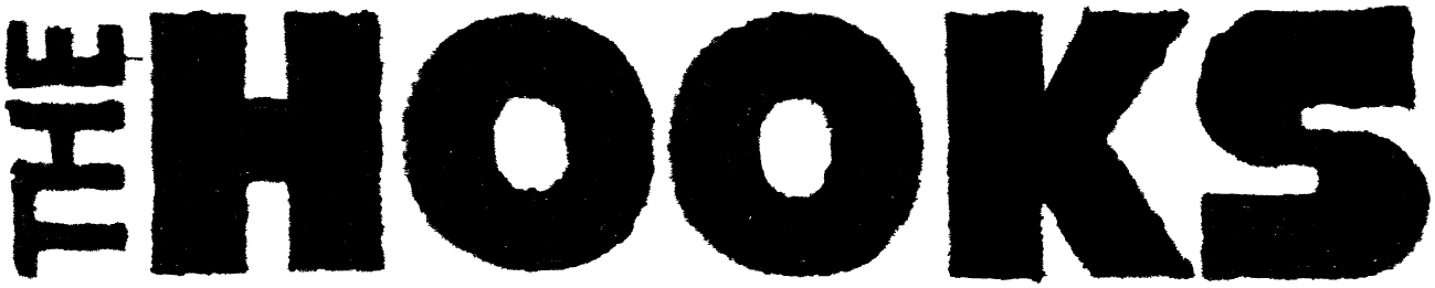 The Hooks — Irish blood, West Coast echo.